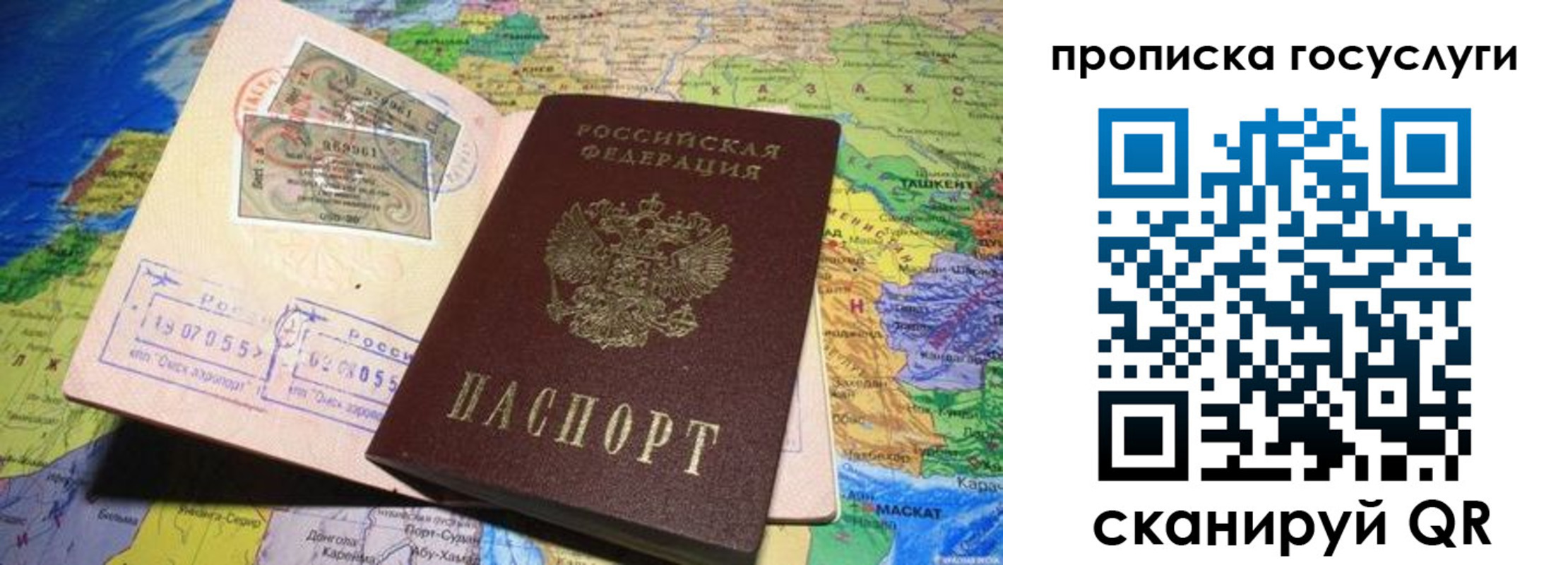 прописка законно в Алексине